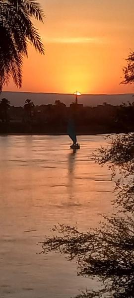 Villa Rose-Luxor